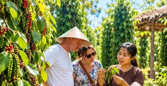 Phu Quoc: Pepper Farm Experience, Tastings & Cooking Class