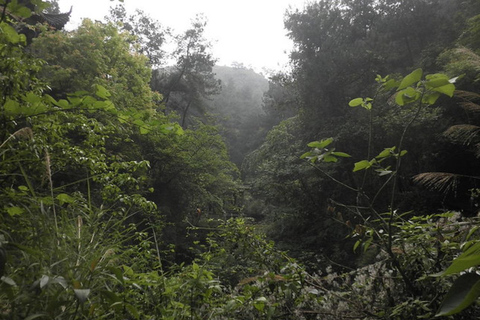 Historic, Natural Wonders: Zaina Falls & Mau Mau Cave Hike