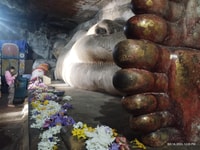 Negombo, tutto compreso;Dambulla, Elephant Safari & Village - Housity