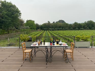 Etna: Sartorius Craters, 4x4 Excursion & Etna DOC Wine Tasting at the Winery