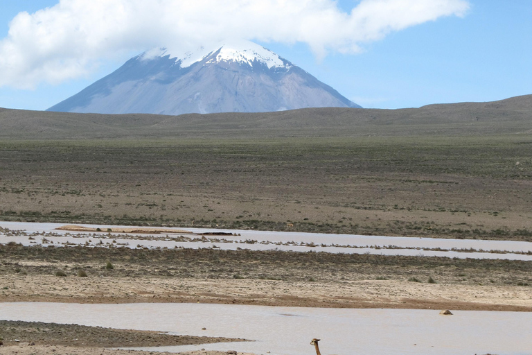 Excursión de un día al Cañón del Colca desde Arequipa con final en Puno