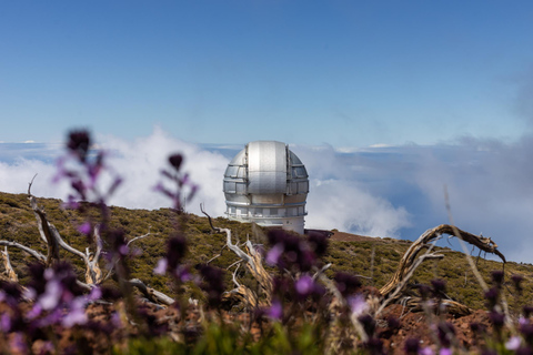 La Palma: Let's go to Roque Observatory & Visitor Centre Pick up in S/C de La Palma (line 3-north)