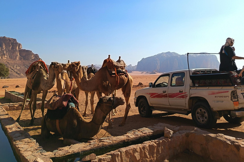 overnight: sleep under the stars in the cave in Wadi Rum Protected Area Caml tour