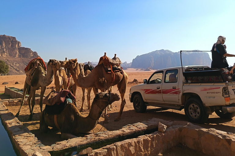 overnight: sleep under the stars in the cave in Wadi Rum Protected Area Caml tour