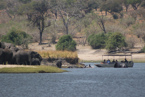 Viagem de 1 dia prolongado ao Chobe