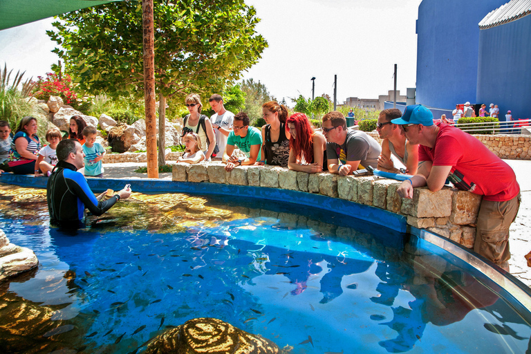 Mallorca : Billet d'entrée à l'aquarium de Palma avec cinéma 3D