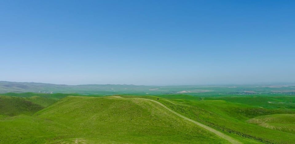 Windows Desktop -Thema - Mohnfelder von Taschkent - Housity