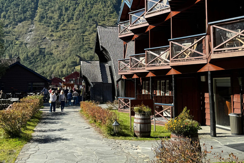 2-Day Private Tour with Flåm Train, Hardagerfjord & Cruise