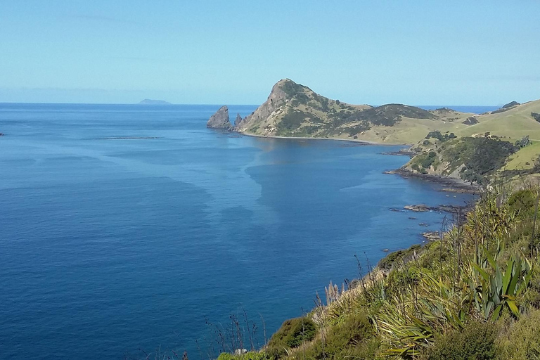 Depuis Auckland : Cathedral Cove et Hot Water Beach