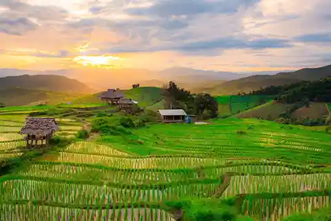 Chiang Mai: Doi Inthanon & Pha Dok Siew Nature Trail Trek