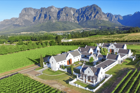 The BEST Cape Peninsula Wine tasting winery tours 2025 FREE
