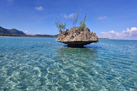 Morning at sea: Dolphins, Mauritian breakfast, natural aquarium, Cristal Rock