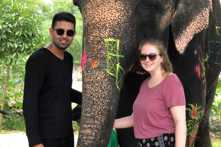 Jaipur Stadtführung mit Elefanten-InteraktionTour mit Privatwagen & Tourguide mit Elefanteninteraktion