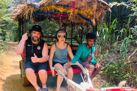 Sri Lanka: 10-Day Private Guided Tour with Airport Pickup