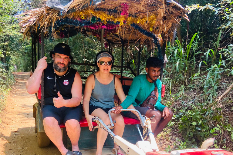 Sri Lanka: 10-Day Private Guided Tour with Airport Pickup