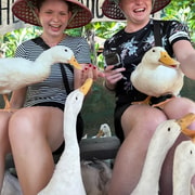 Phong Nha: Duck Farm Visit with Bánh Xèo Cooking Class Phong Nha: Duck Farm Visit with Bánh Xèo Cooking Class