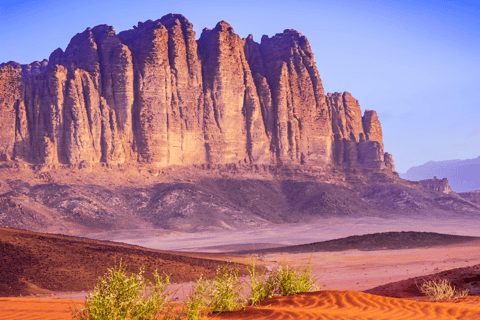 Wadi Rum: 2-Day Southern Desert Tour, Camel & Stargazing