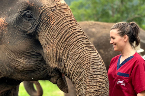 Rantong elephant sanctuary Chiangmai