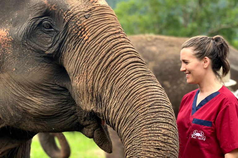 Rantong elephant sanctuary Chiangmai