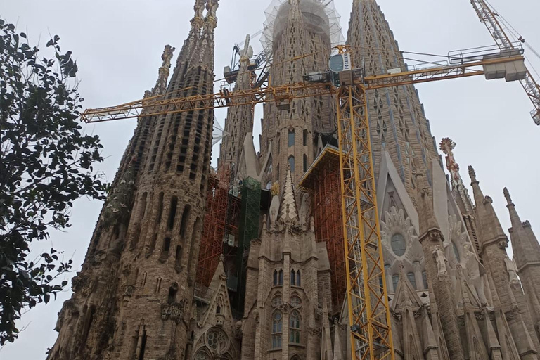 Private Tour in Barcelona Sagrada Familia with Tickets Private Tour+Ticket: Lights & Shadows of the Sagrada Familia