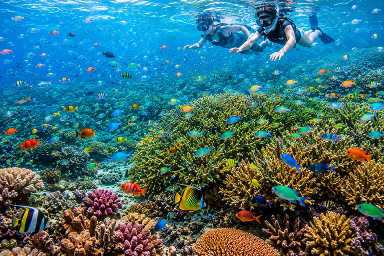 Cebu: 2-Day Camping, Kawasan & Moalboal Adventure