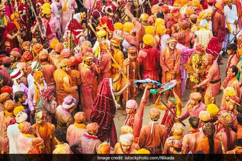 Same-Day Adventure: Delhi Sightseeing and Holi Celebrations.Tour with Transportation and Guide only