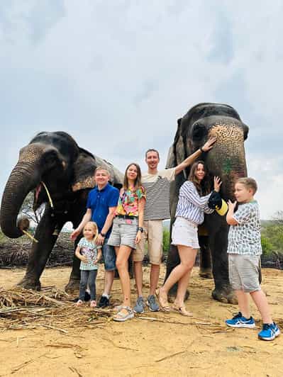 Jaipur: Elephant Sanctuary Entry Ticket with Transfers