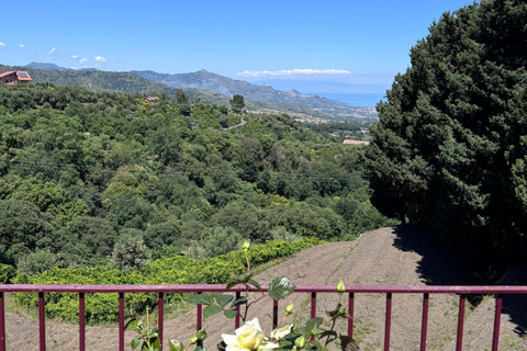 From Catania: Etna Trekking & Wine Tasting Tour with Pickup