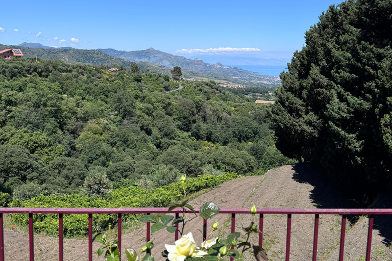 From Catania: Etna Trekking & Wine Tasting Tour with Pickup