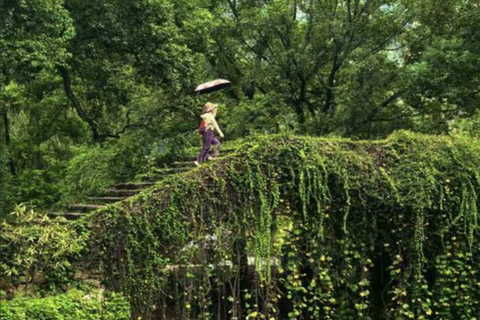 Shanghai: West Lake Hills & Tea Gardens Private Day Trip