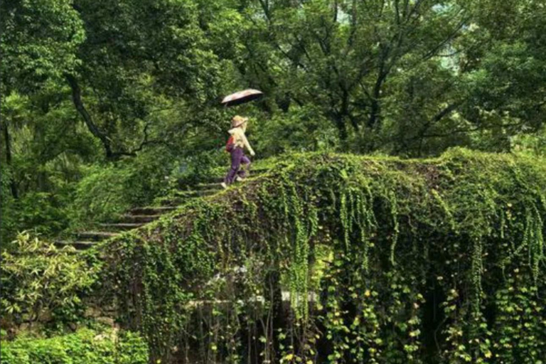Shanghai: West Lake Hills & Tea Gardens Private Day Trip