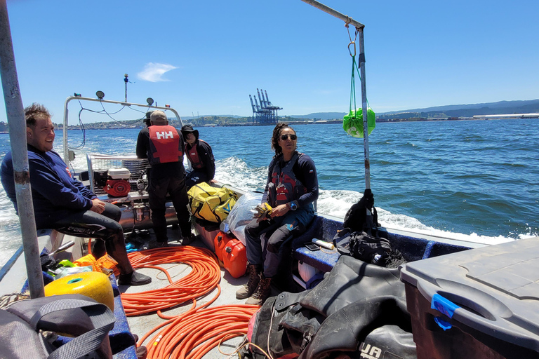 Boat ride through Valparaiso Bay Boat ride through the bay of Valparaíso