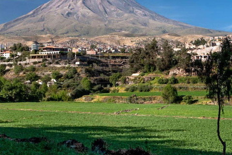 Arequipa: Fietstocht door de Chilina Vallei