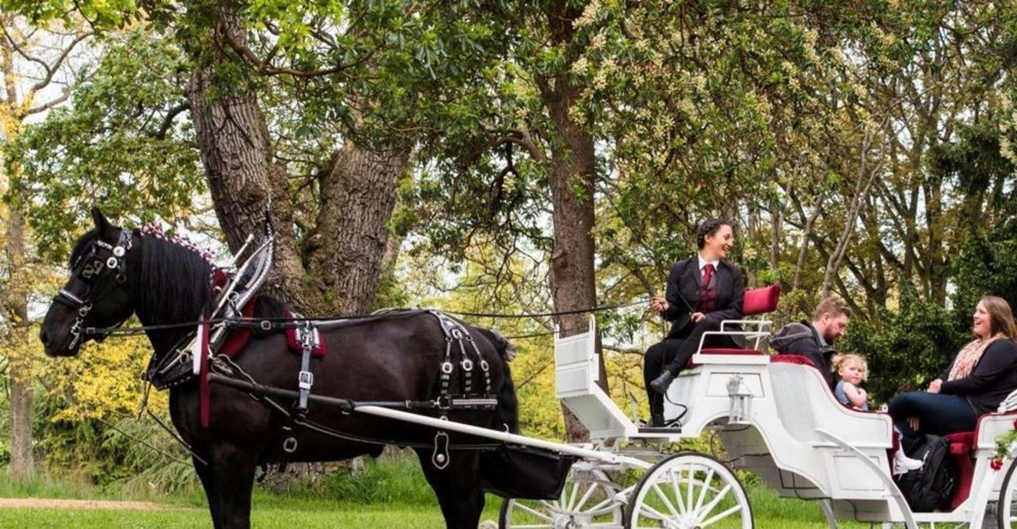 NYC, Private Central Park Horse Carriage Ride with Guide - Housity