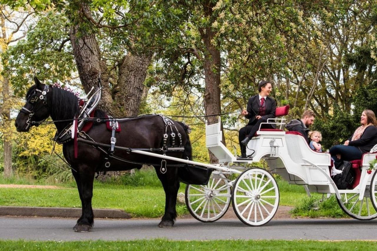 NYC: Passeio particular de carruagem a cavalo pelo Central Park com guiaPasseio particular de carruagem a cavalo pelas luzes de NYC ou pelas luzes de Natal