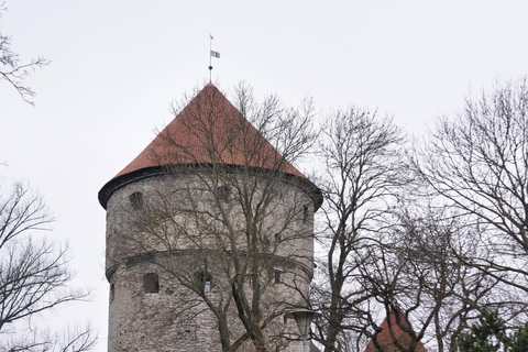 Visite audio de la colline de Toompea (colline de la cathédrale) à Tallinn