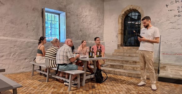Porto: Private Tagestour, Blick auf Gaia & optionaler Weinkellerbesuch