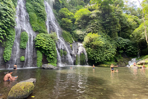 Bali : Visite privée de l'île du Nord avec la cascade de BanyumalaTour avec droits d'entrée