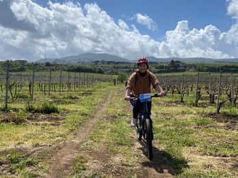 Frascati : Tour en E-Bike avec dégustation de vins