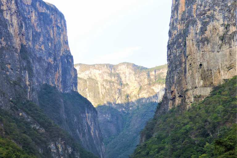 Chiapas : Visite privée de la nature 4 jours et 3 nuitsVisite privée de la nature en 4 jours