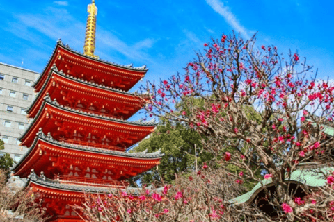 Fukuoka: Hakata Temple District Guided Walking Tour