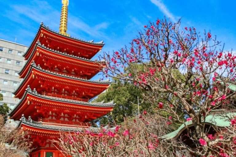 Fukuoka: Hakata Temple District Guided Walking Tour