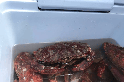 San Francisco: Crab & Cook under the Golden Gate Bridge