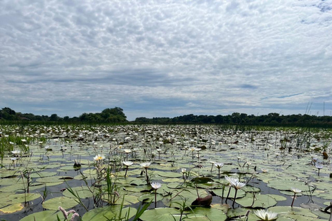 Maun: Okavango Delta Mahango Mokoro Tour with Local Guide