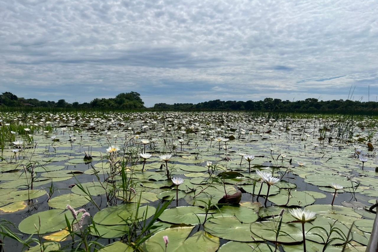 Maun: Okavango Delta Mahango Mokoro Tour with Local Guide