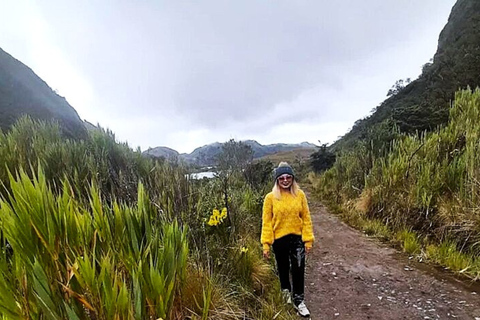 Private Tour to Papallacta Hot Springs & Bear Watching