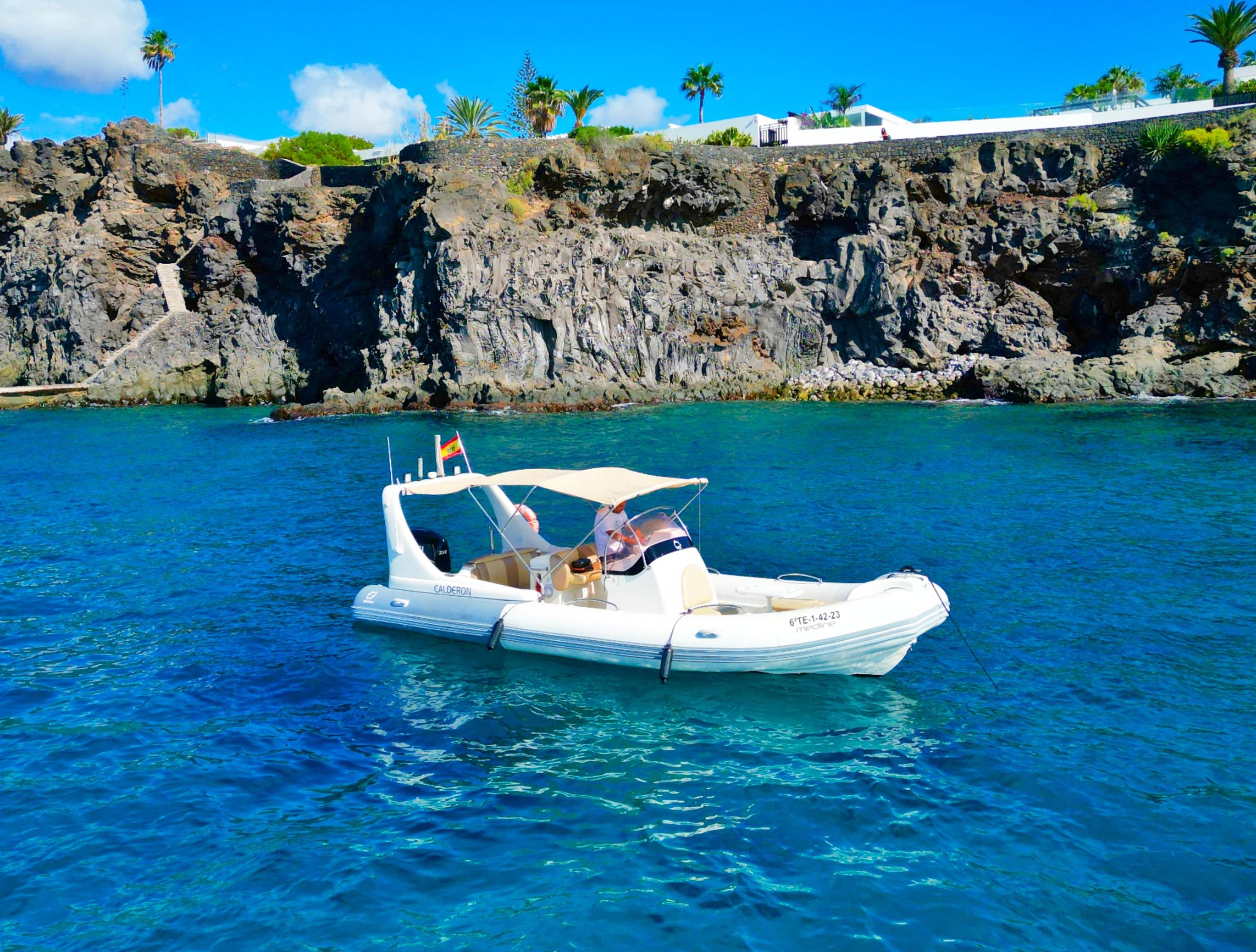 Süd-Teneriffa: Private Tour zur Beobachtung von Walen und Delfinen