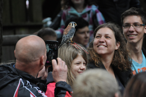 Ruhla: bilhete para um espetáculo aéreo com águias, corujas e muito mais.Ruhla: Bilhete para um show aéreo com águias, corujas e outros animais