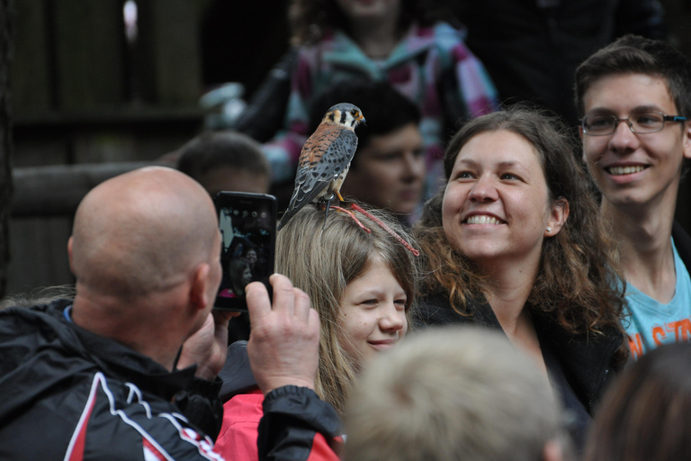 Ruhla: bilhete para um espetáculo aéreo com águias, corujas e muito mais.Ruhla: Bilhete para um show aéreo com águias, corujas e outros animais