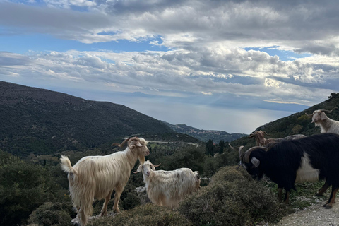 Kefalonia Ainos Premium 4x4 Van Experience